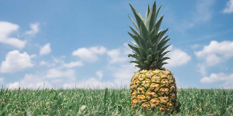 重庆厨房装修:破解川渝重油烟难题的黄金动线与紫色格调收纳方案