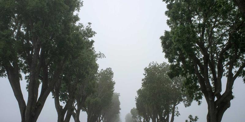 重庆阳台改造灵感:观景、休闲、种植一体化,用艺术涂鸦点亮山城生活美学